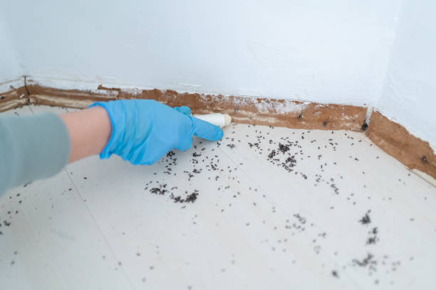Northlake, TX Pest Control Company